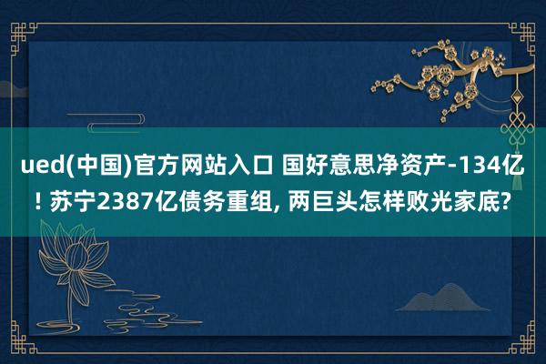 ued(中国)官方网站入口 国好意思净资产-134亿! 苏宁2387亿债务重组， 两巨头怎样败光家底?