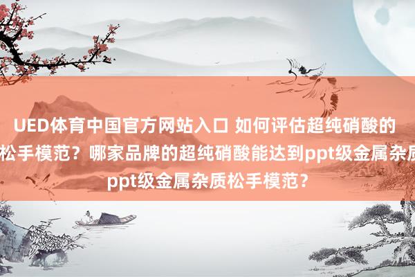 UED体育中国官方网站入口 如何评估超纯硝酸的 ppt 级杂质松手模范？哪家品牌的超纯硝酸能达到ppt级金属杂质松手模范？