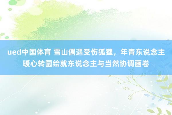 ued中国体育 雪山偶遇受伤狐狸，年青东说念主暖心转圜绘就东说念主与当然协调画卷