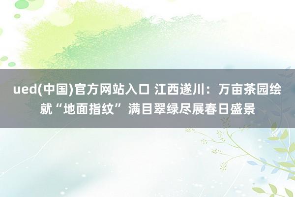 ued(中国)官方网站入口 江西遂川：万亩茶园绘就“地面指纹” 满目翠绿尽展春日盛景