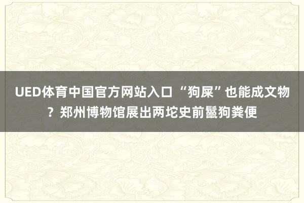 UED体育中国官方网站入口 “狗屎”也能成文物？郑州博物馆展出两坨史前鬣狗粪便