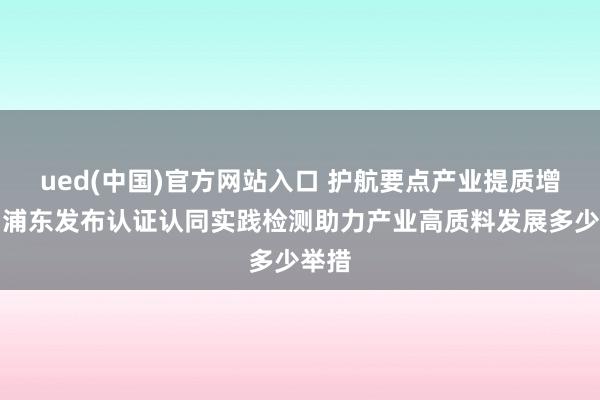 ued(中国)官方网站入口 护航要点产业提质增效，浦东发布认证认同实践检测助力产业高质料发展多少举措