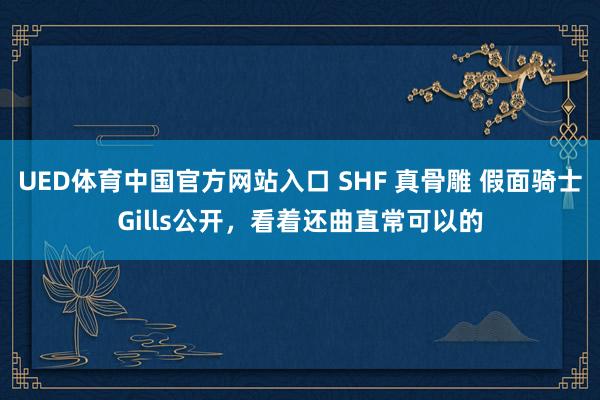 UED体育中国官方网站入口 SHF 真骨雕 假面骑士Gills公开，看着还曲直常可以的