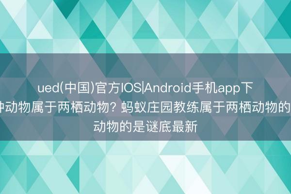ued(中国)官方IOS|Android手机app下载入口 哪种动物属于两栖动物? 蚂蚁庄园教练属于两栖动物的是谜底最新