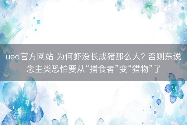 ued官方网站 为何虾没长成猪那么大? 否则东说念主类恐怕要从“捕食者”变“猎物”了