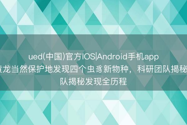 ued(中国)官方IOS|Android手机app下载入口 黄龙当然保护地发现四个虫豸新物种，科研团队揭秘发现全历程