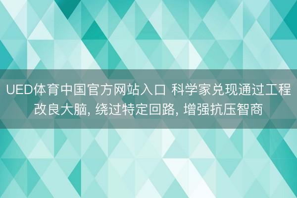 UED体育中国官方网站入口 科学家兑现通过工程改良大脑, 绕过特定回路, 增强抗压智商