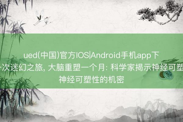 ued(中国)官方IOS|Android手机app下载入口 一次迷幻之旅， 大脑重塑一个月: 科学家揭示神经可塑性的机密
