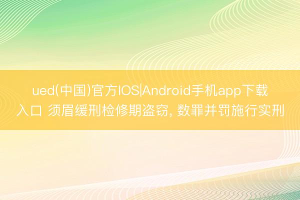 ued(中国)官方IOS|Android手机app下载入口 须眉缓刑检修期盗窃， 数罪并罚施行实刑